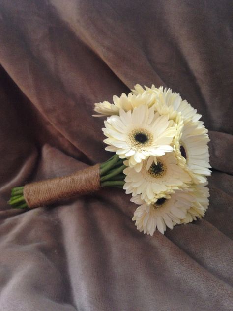 Wedding Gerbera Bouquet, White Gerbera Bouquet, Gerbera Daisy Bridal Bouquet, White Gerbera Daisy Bouquet, Wedding Bouquets Gerbera, White Gerbera Daisy, Gerbera Daisy Bouquet Wedding, Gerbera Flower Bouquet, Diy Hand Bouquet Wedding