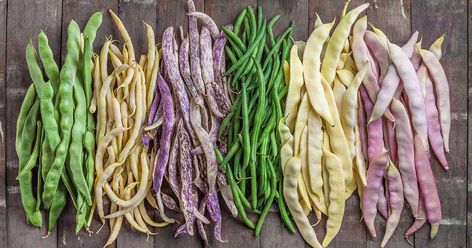 15 of the Best Types of Pole Beans | Gardener’s Path Indian Green Beans, Pole Bean Trellis, Garden Beans, Stir Fry Beans, Bean Trellis, Cluster Bean, Fried Beans, Kinds Of Beans, Bean Varieties