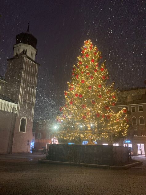 What to do in Trento
Christmas in Trento
Trento, Italy Italy Places To Visit, Italy Places, Trento Italy, Italy Winter, Christmas In Italy, Christmas Markets, Beautiful Christmas Trees, Trieste, 2024 Vision