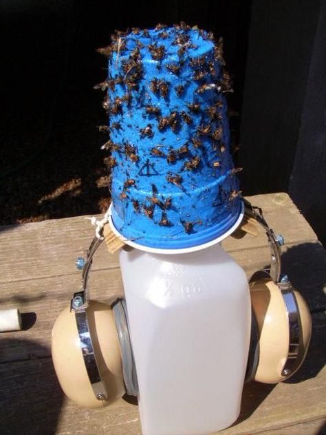 Deer Fly Traps- Great Blog on how to catch these and to prevent from getting bitten. These are the flys that spread Coggins.  Make sure you read the comments for other ideas. Some have used blue plates,cups,salad bowls,painters tape and spread with  Tanglefoot paste They are atracted to bright blue. Need to hang these in stalls. Diy Fly Repellent, Deer Flies, Deer Fly, Bug Killer, Horse Info, Future Farms, Fly Repellant, Fly Trap, Horse Fly