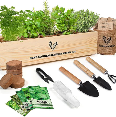 Garden set perfect for the summer Windowsill Herb Garden, Wooden Flower Boxes, Seed Starter Kit, Herb Garden Kit, Kitchen Windowsill, Diy Herb Garden, Bonsai Seeds, Indoor Herb, Greenhouse Plants