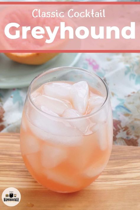 When talking about grapefruit and classic cocktails, you have to talk about the Greyhound. This Grapefruit recipe is a great gin or vodka drink. Mix up a traditional Greyhound cocktail today with my recipe. #ramshacklepantry #gin #grapefruit Ted Lasso Cocktail, Drinks With Grapefruit Vodka, Greyhound Cocktail Recipe, Grey Hound Drink, Gin Mixed Drinks Recipes, Grapefruit Vodka Drinks, Greyhound Drink, Grapefruit Recipe, Grapefruit Gin Cocktail