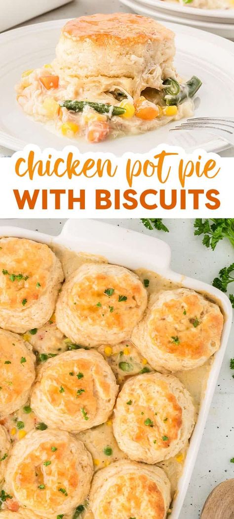 This Chicken Pot Pie with Biscuits is more casserole than pie with a hearty and creamy chicken pot pie filling and buttery, flaky homemade biscuits baked to perfection! Biscuit Chicken Pot Pie, Pie Chicken, Grands Biscuits, Creamy Chicken Pot Pie, Pot Pie Casserole, Chicken Pot Pie Filling, Meatloaf Dinner, Chicken Pot Pie Casserole, Shredded Chicken Recipes