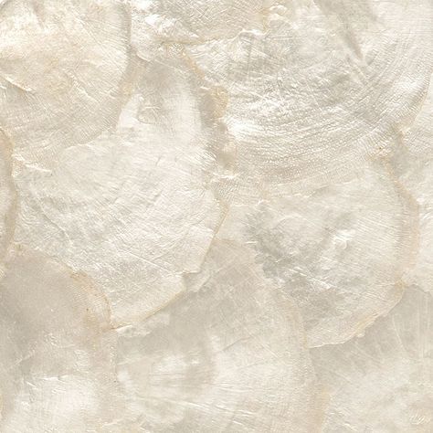 Shell Texture Pattern, Shells Texture, Shell Aesthetic, Shell Background, Table Wallpaper, Pearl Texture, Shell Texture, White Plywood, Round Placemat