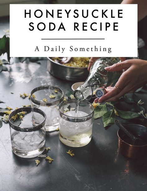 Recipe for honeysuckle cordial and soda. What to do with honeysuckle flowers. Honeysuckle cordial recipe. Honeysuckle simple syrup recipe. Honeysuckle simple syrup for cocktails or soda. #honeysuckle #honeysucklesimplesyrup #simplesyrup Honeysuckle Syrup Recipe, Honeysuckle Simple Syrup, Wild Soda, Honeysuckle Recipes, Honeysuckle Flowers, Simple Syrup Cocktails, Cordial Recipe, Foraging Recipes, Homemade Soda