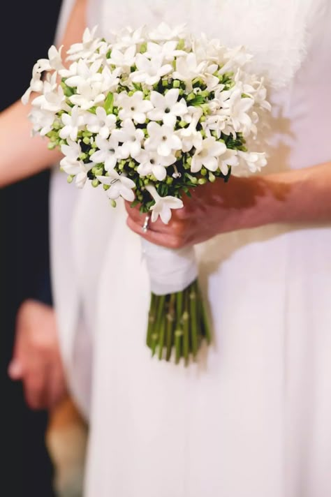 Jasmine Flowers White Jasmine Flower, Flower Girl Tiara, Jasmine Wedding, Flower Wedding Ring, Jasmine Bridal, Jasmine Plant, Beautiful Bridal Bouquet, Jasmine Flower, Wedding Dress Pictures