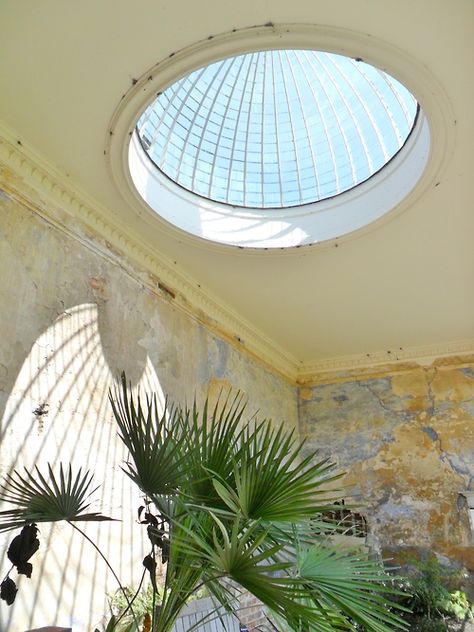 valscrapbook:  vwcampervan-aldridge: Tropical palms under restored glass dome in the Orangery, Calke Abbey, Derbyshire, England Original Photography by http://vwcampervan-aldridge.tumblr.com Glass Dome Ceiling, Dome Window, Skylight Bedroom, Dome Room, Skylight Window, Green Dome, Roof Ceiling, Dome Ceiling, Creative Interior Design