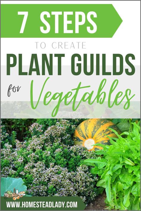 Plant Guilds Gardens, Food Forest Design, Permaculture Principles, Modern Homesteading, Diy Garden Trellis, Natural Pesticides, Vegetable Garden Planning, Permaculture Design, Food Production