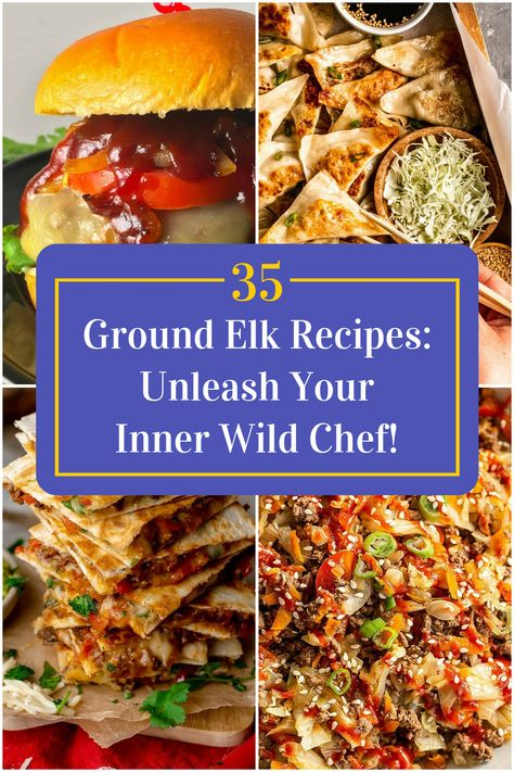 Collage of 4 ground elk recipes. Elk Crockpot Recipes, Meals With Ground Elk, Elk Ground Meat Recipes Dinners, Ground Elk Recipes Healthy, Healthy Elk Meat Recipes, Elk Recipes Ground, Elk Ground Meat Recipes, Cooking Elk Meat, Ground Elk Recipes