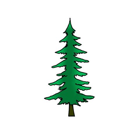 How to Draw a Pine Tree - Step by Step Easy Drawing Guides - Drawing Howtos Draw A Pine Tree, Draw Pine Trees, Tree Drawing Easy, Pine Tree Drawing, Drawing Easy Step By Step, Easy Drawing Guides, Tree Outline, Zigzag Line, Red Kite