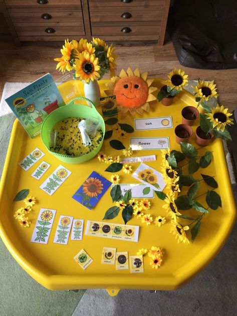 Earth friendly fun brought to you The Family Center/La Familia and My Big Day Marketing and Events #TheFamilyCenter #LaFamilia #NoCoFamily #earlychildhood #earlychildhoodeducation #education #FamilySupport #earlyyears #childcare #latinx #NoCoNonProfit #nonprofit #nonprofitorganization Sunflower Tuff Tray, Growing Tuff Tray Ideas, Sunflower Eyfs Activities, Sunflowers Eyfs, Bee Tuff Tray Ideas, Tuff Tray Spring Ideas, Spring Tuff Tray Ideas For Toddlers, Flower Tuff Tray, Spring Tuff Tray Ideas Eyfs