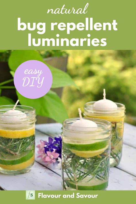 Make these easy natural insect repellent luminaries with essential oils. These make a pretty table decoration for outdoor parties. #essential oils #bug_repellent #insect_repellent Insect Repellent Candles, Foil Pack Meals, Summer Hacks, Natural Bug Repellent, Insect Spray, Entertaining At Home, Summer Party Ideas, Natural Insect Repellant, Bug Repellent