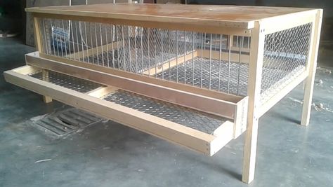 Cage For Chicken, Chicken Cages Diy, Quail Cage Ideas, Quails Cage, Quail Cage Plans, Backyard Chickens Diy, Quail House, Quail Cage, Poultry Business