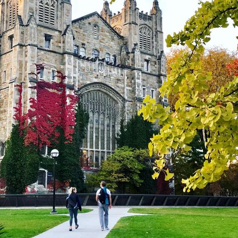 The University of Michigan is home to historical architecture. Don't just study, explore! | Ann Arbor, MI | U of M University Of Michigan Ann Arbor, U Of Michigan, U Of M Aesthetic, U Michigan Aesthetic, U Of M University Of Michigan, Universities Aesthetic, College Manifestations, Michigan Aesthetic, Dorm 2023