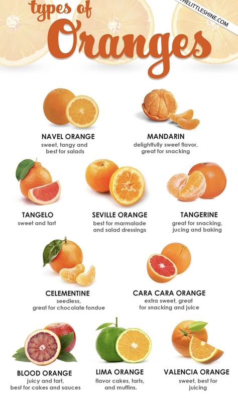 Fruit Kabob, Fruits And Vegetables List, Types Of Oranges, Amazing Food Hacks, Fruit Health Benefits, Food Infographic, Food Charts, Food Info, Cooking Basics