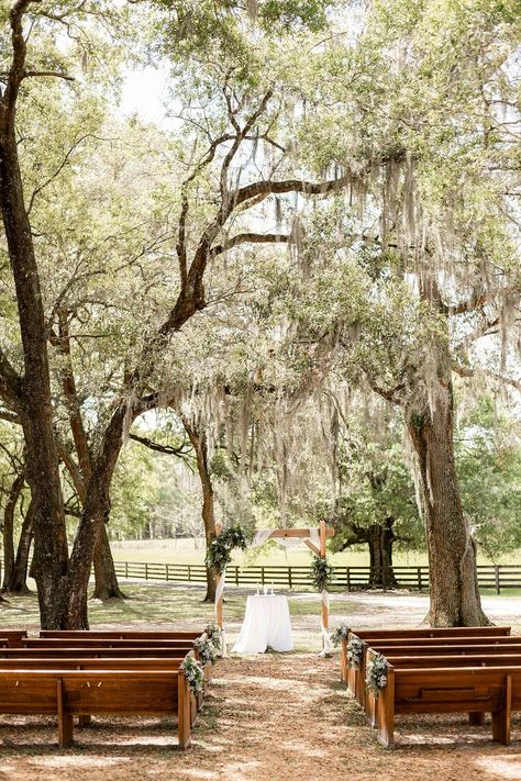 Spanish Moss Wedding, Mossy Oak Wedding, Romantic Outdoor Wedding Ceremony, Spanish Moss Trees, All 4 One, Oak Tree Wedding, Moss Wedding, Wooded Area, Romantic Outdoor Wedding