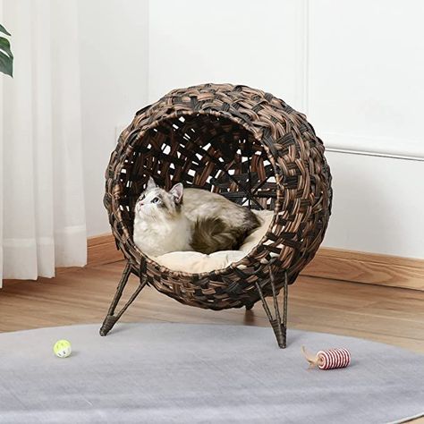 Elevated Cat Bed, Wicker Cat Bed, Pet Gadgets, Cat Egg, Kitten House, National Pet Day, Cat Basket, Cat Cave, Cat Beds