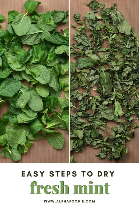 How to dry mint at home with three methods to choose from; oven-drying, dehydrator, or air-drying. This post also includes mint benefits and how to store, convert, and use dried mint! Dried Mint Leaves Uses, How To Dry Spearmint Leaves, How To Dry Peppermint Leaves, Drying Mint Leaves For Tea, How To Dry Mint Leaves For Tea, How To Store Mint Leaves, How To Preserve Mint Leaves, Dried Mint Uses, How To Dry Mint Leaves