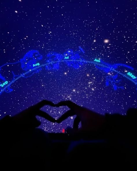 Planetarium Date Aesthetic, Planetarium Aesthetic, Planetarium Date, Date To Marry, Date Locations, Cute Dates, Booktok Aesthetic, Adler Planetarium, Dream Dates