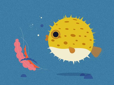 Puffer Fish Illustration, Feminine Characters, Fish Vector, Puffer Fish, Fish Illustration, Fish Wallpaper, My Portfolio, Fish Design, Freelance Illustrator