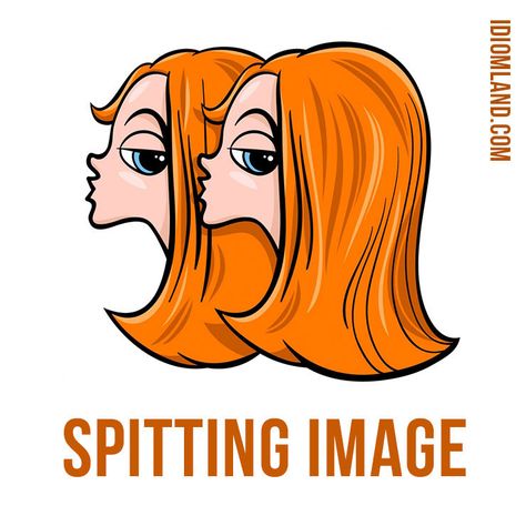 Idiomatic Expressions, Spitting Image, English Idioms, Learning English, English Lessons, English Words, New Words, Learn English, Vocabulary