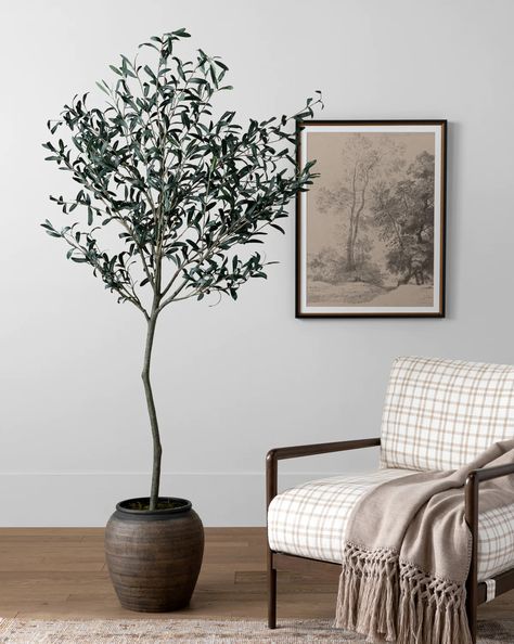 Search: 5 results found for "faux tree" – McGee & Co. Olive Tree Living Room, Olive Tree Interior, Indoor Olive Tree, Copenhagen Apartment, Plantas Interior, English Roll Arm Sofa, Potted Olive Tree, Tree Interior, Faux Olive Tree