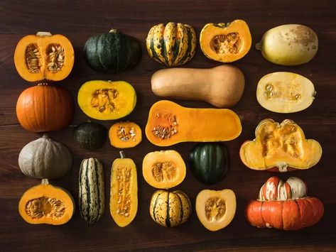 Gourd Recipes Cooking, Sweet Dumpling Squash, Winter Squash Varieties, Plantarea Legumelor, Buttercup Squash, Winter Squash Recipes, Cooking Spaghetti Squash, Types Of Pumpkins, Squash Varieties