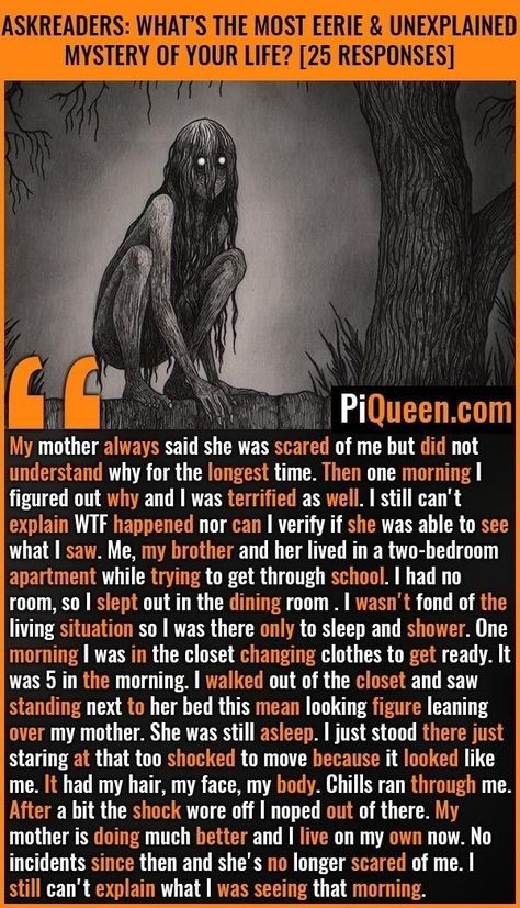 Ghost Facts, True Creepy Stories, Paranormal Facts, Short Scary Stories, Scary Horror Stories, Real Life Horror Stories, True Horror Stories, Creepy History, Short Creepy Stories