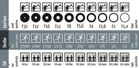 One of the first things you must learn as a new photographer is the relationship between ISO, aperture and shutter speed. Here's a little cheat-sheet to help you remember. Aperture And Shutter Speed, Fast Shutter Speed, Photography Cheat Sheets, Photo Techniques, Photography Help, Photography Basics, Foto Tips, Photography 101, Camera Hacks