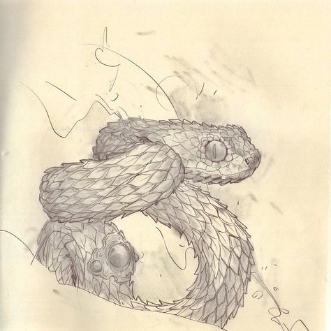 Bush viper ✨  #art #pencil #viper Viper Tattoo, Snake Discovery, Snake Drawings, Bush Viper, Snake Sketch, Wings Dragon, Fallen Angel Tattoo, Tattoo Linework, Thing To Draw