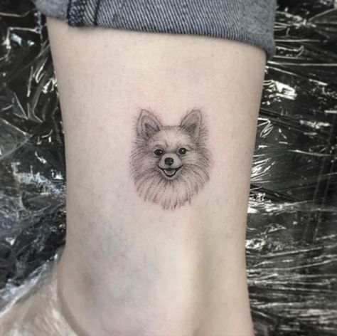 14 Of The Best Pomeranian Tattoo Ideas Ever | PetPress Pom Dog Tattoo, Pomeranian Tattoo Minimalist, Pomeranian Dog Tattoo, Pomeranian Line Art, Chihuahua Tattoo Minimalist, Pomeranian Tattoo, Tattoo Perro, Tatoo Dog, Chihuahua Tattoo