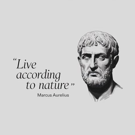 Live According to Nature: A Stoic... - Daily Stoic Wisdom Stoic Meaning, Stoicism Aesthetic, Stoic Wisdom, Daily Stoic, Living In Harmony, In Harmony With Nature, Harmony With Nature, Marcus Aurelius, Meant To Be