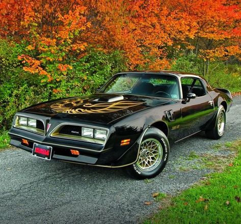 1978 Trans Am, 1978 Pontiac Trans Am, Pontiac Trans Am, The Bandit, Smokey And The Bandit, Mopar Muscle Cars, Mustang Ii, Pontiac Cars, Pontiac Firebird Trans Am