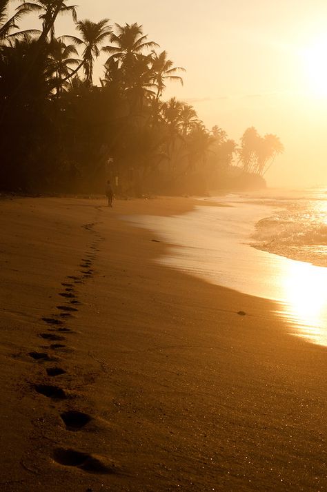 Unawatuna Beach, Sri Lanka Holidays, Sri Lanka Beach, Beach Glow, Sri Lanka Travel, Travel Wishlist, Interesting Places, Flash Light, A Banana