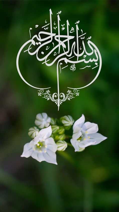 Calligraphy of Bismillah with Nature Background Bismillah Calligraphy Wallpapers, Bismillah Images, Bismillah Wallpaper, Bismillah Calligraphy, Calligraphy Wallpaper, Islamic Wallpapers, Calligraphy Background, Islamic Holidays, Circle Mehndi