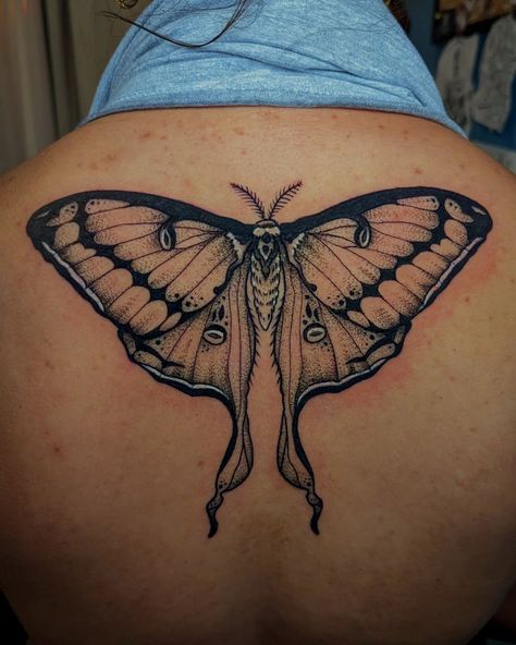 Luna moth for Marisa's first tattoo! Absolutely love the placement on this, middle upper back tattoos are so lovely. 🦋 Back Moth Tattoo, Moth Tattoo On Back, Luna Moth Tattoos, Hawk Moth Tattoo, Moth Tattoo Back, Moth Wings Back Tattoo, Atlas Moth Tattoo, Moth Wing Tattoo On Back, Moth Back Tattoo