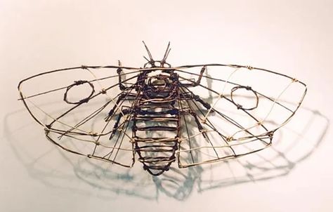 Creativity for Wellbeing. Creative Art Activities for Everyone Insect Sculpture, Drátěná Socha, Organic Mechanic, Creative Art Activities, Art Fil, Wire Art Sculpture, Willow Weaving, Art Wire, Metal Sculptures