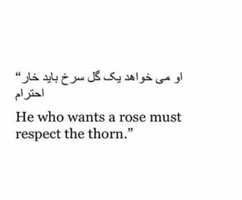 He Who Wants A Rose Must Respect The Thorn, Thorn Quotes, Persian Proverbs, Thorn Aesthetic, Pashto Quotes, Long Love Quotes, Rose Quotes, Persian Language, Respect Quotes