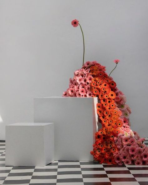 Modern Flower Installation, Ground Floral Installation, Floral Installation Photoshoot, Color Block Floral Installation, Red Floral Installation, Tall Floral Arrangements, Pink Flower Arrangements, Diy Arrangements, Fall Flower Arrangements