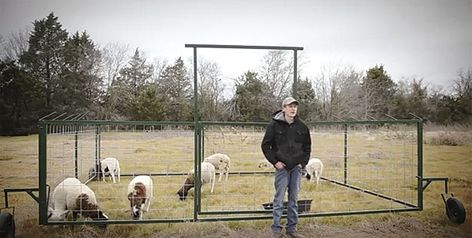 “Our portable Sheep Tractor Pen takes the time and labor out of moving a small flock of sheep or goats from one pasture to another,” says Dan May, who builds the pen components on his farm near Waco, ... Pig Tractor Pens, Portable Sheep Shelter, Portable Goat Pen, Goat Tractor, Sheep Tractor, Goat Yard, Sheep Shelter, Sheep Fence, Goat Fence