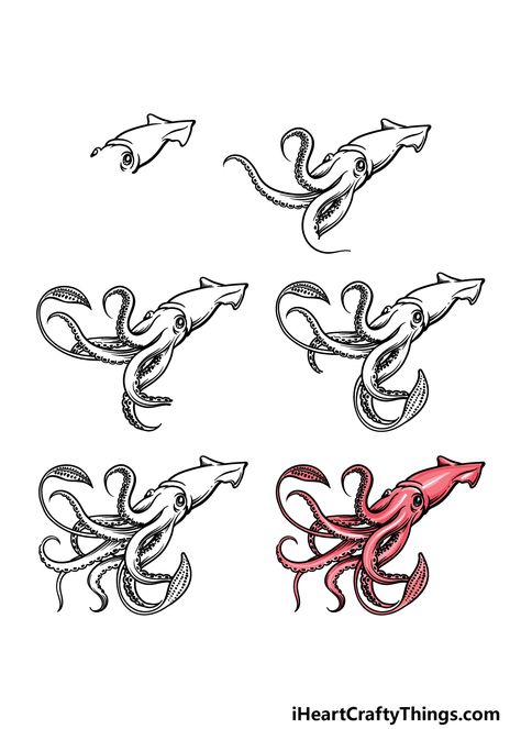 Squid Drawing Reference, Colossal Squid Drawing, How To Draw A Squid, Squid Drawing Simple, Undersea Drawing, Squid Sketch, Squid Tattoo Design, How To Draw Octopus, Squid Illustration