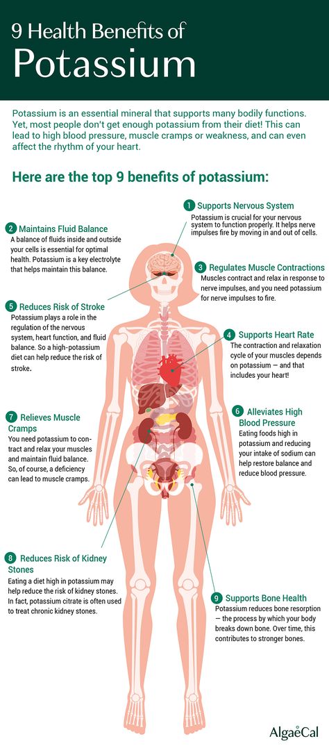 Top Potassium-Rich Foods and How They Benefit You Potassium Rich Foods Deficiency, Foods High In Magnesium And Potassium, Potassium Gluconate Benefits, Pottasium Rich Foods, Potassium Chloride Benefits, Increase Potassium Levels, Potassium Iodide Benefits, Potassium Rich Foods Recipes, Electrolyte Foods