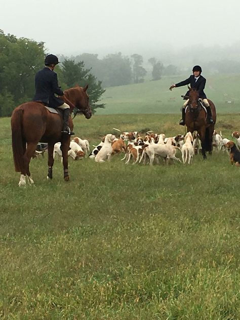 Hunting With Horses, Old Money Hunting Aesthetic, English Hunting Aesthetic, Fox Hunting Aesthetic, Old Money Hunting, Hunt Aesthetic, Horse Hunting, British Hunting, Hunting Aesthetic