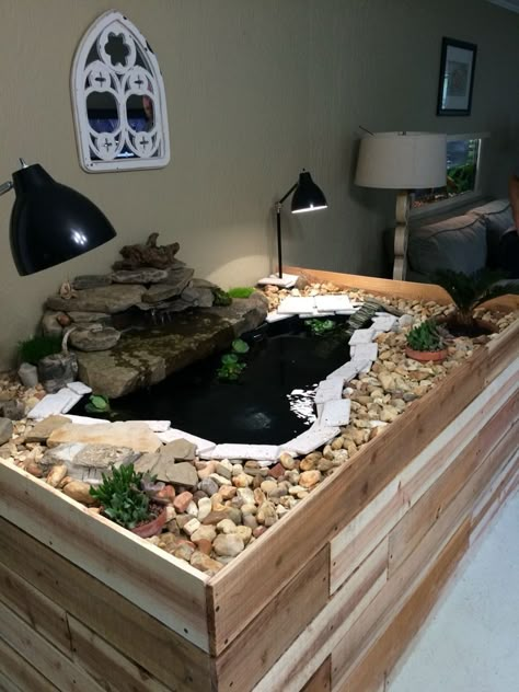 Small Indoor Turtle Pond, Indoor Aquatic Turtle Habitat, Aquatic Turtle Enclosure Indoor, Cute Turtle Tank Ideas, Turtle Terrarium Indoor, Turtle Indoor Pond, Half Water Half Land Turtle Tank, Semi Aquatic Terrarium, Water Turtle Tank Ideas Indoor