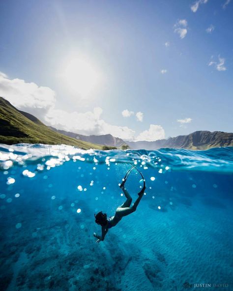 Let the sun shine!  @haaheo  @jdbaluch  #bestfreedivegear #freedive #freediver #freedom #freediving #blue #blueplanet #bluelife #underwater #underwaterlove #love #truelove #sea #ocean #snorkelaroundtheworld #underthesea #waterworld #scuba #scubalife #californialife #bucketlist #lifestyle #instascuba #instago #underthesea #mermaids #mermaidlife #gopro #hawaii #gopronation Half Underwater, Sea Pictures, Underwater Pictures, Underwater Painting, Photo Gear, Underwater Art, Water Drawing, Sea Photo, Sun Shine