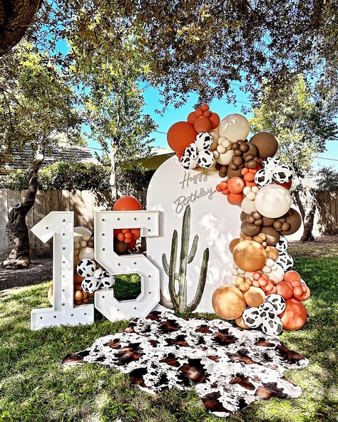 Disco Desert, Backdrop Ideas, Balloon Garland, Party Decor, Balloons, Cowboy, Party Decorations, Baby Shower, Baseball