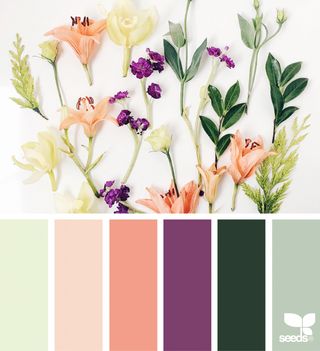 { foraged hues } image via: @amermyla The post Foraged Hues appeared first on Design Seeds. Color Schemes Design, Seeds Color, Color Concept, Purple Color Schemes, Spring Palette, Color Palate, Design Seeds, Color Balance, Color Inspo