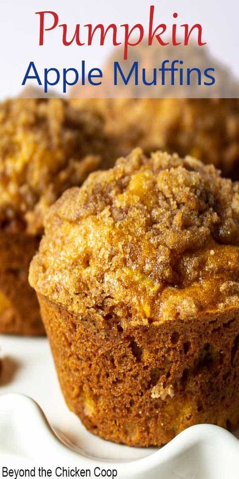 Pumpkin Apple Spice Muffins, Pumpkin Apple Muffins With Streusel Topping, Pumpkin Apple Streusel Muffins, Apple Pumpkin Muffins Healthy, Pumpkin Pancake Muffins, Maple Pumpkin Muffins, Breakfast Pumpkin Muffins, Apple And Pumpkin Recipes, Pumpkin And Apple Recipes