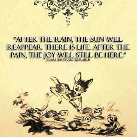 After The Rain, The Sun Will Reappear. There Is Life After The Pain, The Joy Will Still Be There. Bambi Quotes, World Of Disney, Disney Quotes, Love Disney, Disney Stuff, Disney Love, Disney Magic, A Quote, Disney Pixar