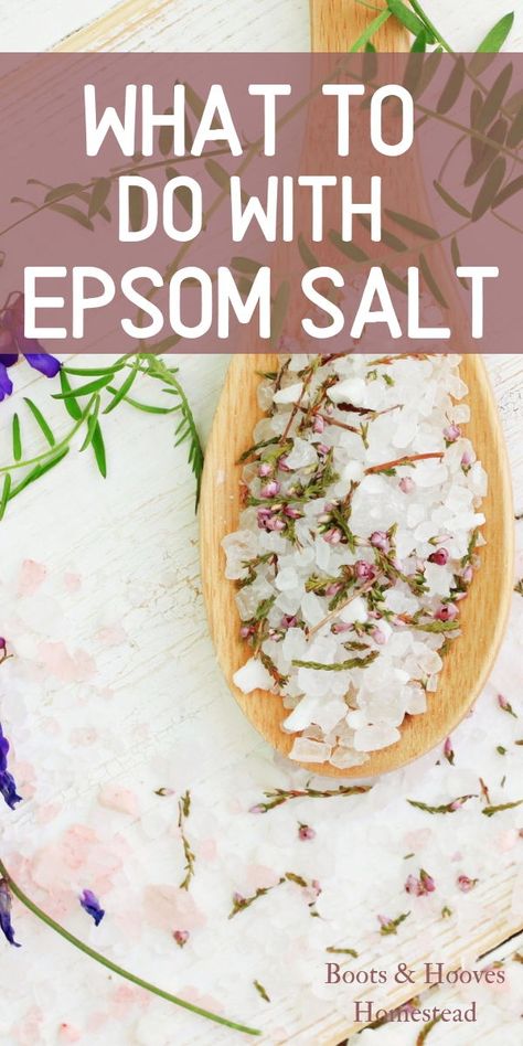 What to do with Epsom Salt. Here are 20 amazing uses for around the home, garden, and even some neat natural beauty ideas. How To Make Epsom Salt, Epsom Salt Crafts, Epsom Salt Diy, Uses For Epsom Salt, Epsom Salt For Plants, Epsom Salt Cleanse, Kitchen Reference, Epsom Salt Uses, Epsom Salt Scrub